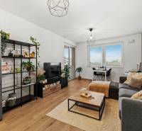 Obývací pokoj v 2-pokojovém bytě s podlahou s dřevěným dekorem, pohovka, stolek, rostliny.