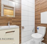 Koupelna v 2-pokojovém bytě s toaletou, umyvadlem a obklady s dřevěným dekorem.