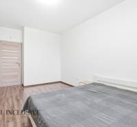 Ložnice v 2pokojovém bytě s podlahou s dřevěným dekorem a prostornou skříní.