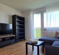 Obývací pokoj v 2-pokojovém bytě s pohovkou, televizorem a podlahou s dřevěným dekorem.