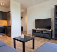 2-pokojový byt s kuchyňskou linkou, modrou pohovkou, televizorem a podlahou s dřevěným dekorem.