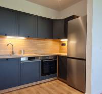 Kuchyně v 2pokojovém bytě s tmavě šedými skříňkami, dřevěným dekorem a nerezovými spotřebiči.