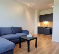 2-pokojový byt s modrou sedačkou, tmavou kuchyní a podlahou s dřevěným dekorem.