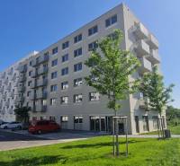 Bytové domy s balkóny, stromy a zaparkovaná auta na Ivanské cestě, Bratislava - Ružinov.