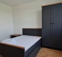 Ložnice v dvoupokojovém bytě obsahuje postel, noční stolek, šatník a podlahu s dřevěným dekorem.