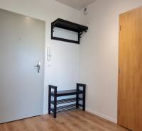 Vstupní předsíň s věšákem v 2-pokojovém bytě. Dřevěný dekor podlahy.