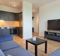 Obývací pokoj s kuchyňským koutem, šedou pohovkou a podlahou s dřevěným dekorem v 2-pokojovém bytě.