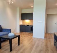 Obývací pokoj v 2-pokojovém bytě s modrou sedačkou, kuchyňským koutem a podlahou s dřevěným dekorem.