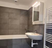 Koupelna v 2-pokojovém bytě s vanou, umyvadlem a zrcadlovou skříňkou.