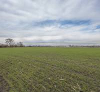 Pozemky na bydlení v Jatově, na ulici Jatov s rozlehlým zeleným polem a oblaky.