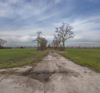 Polní cesta obklopená stromy na pozemcích určených k bydlení v Jatově na ulici Jatov.