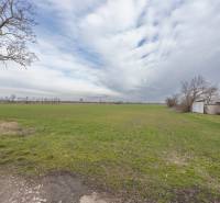 Zelený pozemek na bydlení v Jatově na ulici Jatov s holými stromy.