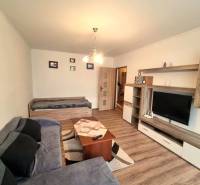 Obývací pokoj s podlahou s dřevěným dekorem v 2-pokojovém bytě, pohovka a televizor.