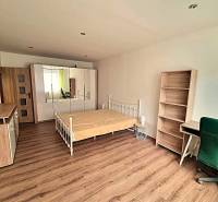 Ložnice v 2pokojovém bytě s postelí, skříní a podlahou s dřevěným dekorem.