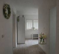 Světlá chodba rodinného domu s podlahou s dřevěným dekorem, květinami a dekoracemi.