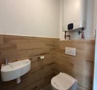 Toaleta v rodinném domě s podlahou s dřevěným dekorem a bojlerem na stěně.