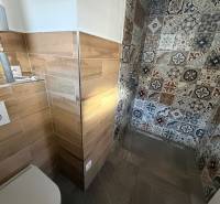 Koupelna v rodinném domě s podlahou s dřevěným dekorem a vzorovanými obklady.