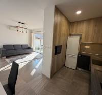 Obývací pokoj s kuchyní v rodinném domě, podlaha s dřevěným dekorem, šedá sedačka.