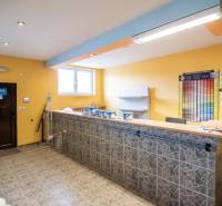 Interiér prodejny ve skladech a halách s pultem, poličkami a barevnými vzorky na stěně.