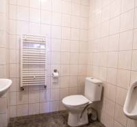 Koupelna ve skladech a halách s toaletou, pisoárem a radiátorem na stěně.