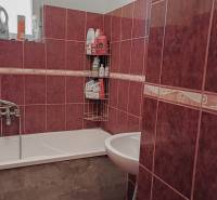 Koupelna se sprchovým koutem, obložená červenými dlaždicemi, v rodinném domě.