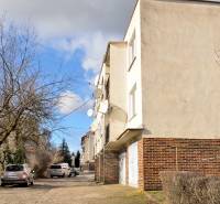 Bytový dům na ulici Hviezdoslavova v Michalovcích, obklopený stromy a zaparkovanými auty.