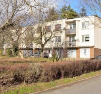 Budova na Hviezdoslavově ulici v Michalovcích, obklopená stromy a keři.