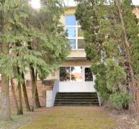 Vstup do budovy obklopený stromy na Hviezdoslavově ulici v Michalovcích, skrytý v zeleni.