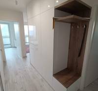 Chodba v 3-pokojovém bytě s bílými skříněmi a vestavěnou šatní skříní s dřevěným dekorem.