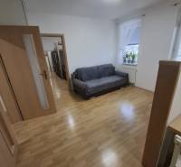 Obývací pokoj v 2pokojovém bytě s podlahou s dřevěným dekorem a pohovkou.