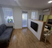 Obývací pokoj dvoupokojového bytu s pohovkou, televizí, podlahou s dřevěným dekorem a balkonem.