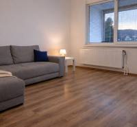 Obývací pokoj v 3pokojovém bytě s pohovkou a podlahou s dřevěným dekorem.