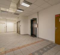 Kanceláře s výtahem a dlažbou, neutrální barvy a moderní osvětlení.