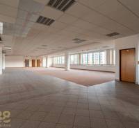 Prostorné kanceláře s okny, podlahou s dřevěným dekorem a sloupy.