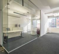 Kanceláře se skleněnými příčkami a kobercovou podlahou, světlé prostory a přirozené světlo.