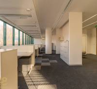 Světlé kanceláře s velkými okny a kancelářským nábytkem, podlaha s dřevěným dekorem.