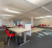 Interiér kanceláří s červenými židlemi a kobercovou dekorací na podlaze.