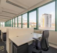 Prostorné kanceláře s otevřenými boxy a velkými okny s výhledem na město.