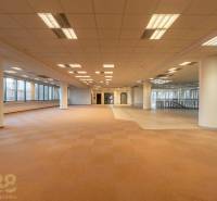 Široký kancelářský prostor s kobercovou podlahou a sloupy, ideální k využití.