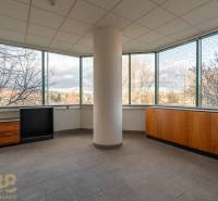 Prostorné kanceláře s velkými okny a výhledem na město, podlaha dlaždicová.