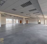 Prostorné kanceláře s velkými okny a s dlažbou.