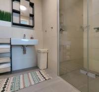 Koupelna v 2-pokojovém bytě s umyvadlem, zrcadlem, sprchovým koutem a koberečkem.