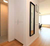 Interiér 2-pokojového bytu s koupelnou, zrcadlem a podlahou s dřevěným dekorem.