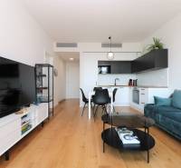 Obývací pokoj s kuchyní v 2pokojovém bytě, podlaha s dřevěným dekorem, TV a sedací souprava.