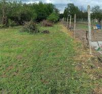 Zahrada s vinicí a travnatou plochou u rodinného domu v obci Horné Saliby.