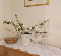 Rodinný dům s květinami na komodě, ozdobenou dečkou a obrazem na stěně.