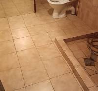 Koupelna v rodinném domě s obklady a toaletou, jednoduchý a úsporný design.