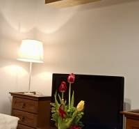 3pokojový byt s dřevěnými skříňkami, televizorem, lampou a kyticí tulipánů.