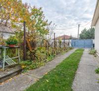 Zahrada u rodinného domu ve Velkých Dvorníkách se zelení a venkovním posezením.