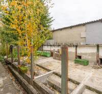 Podzimní zahrada u rodinného domu ve Velkých Dvorníkách s barevným listím na stromech.